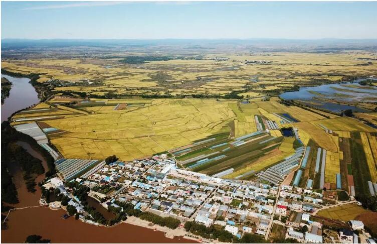 QQ截图20241216105934.jpg QQ截图20241216105934.jpg