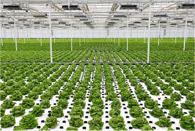 QQ截图20241216110019.jpg QQ截图20241216110019.jpg